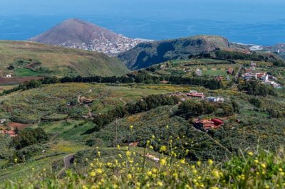 G&aacute;ldar: El Ayuntamiento saca a licitaci&oacute;n el proyecto de mejora de redes de abastecimiento en median&iacute;as