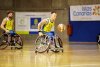 Baloncesto en silla de ruedas: El Econy Gran Canaria busca recuperar su mejor versi&oacute;n ante un duro Amiab Albacete