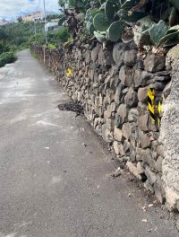 El Ayuntamiento de Firgas informa que se cierra al tr&aacute;fico la carretera de La Vistilla (desde Rosales bajo a Cambalud)