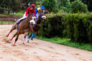 Las carreras de caballos de Valleseco vuelven este domingo