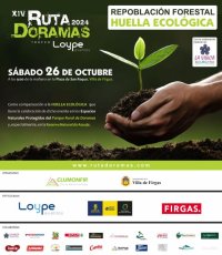 El sábado 26 de octubre se llevará a cabo una nueva repoblación en la Montaña de Firgas con motivo de la Huella Ecológica de la Ruta Doramas 2024