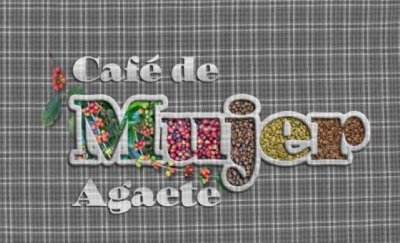 Agaete abre &#039;Café de Mujer&#039;, un programa de empleo femenino para el reconocimiento social y cualificación en el sector cafetero