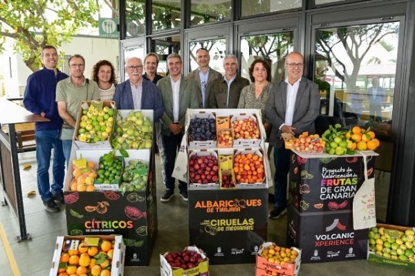 El programa de valorización de frutas de Gran Canaria multiplica el precio que recibe el campo y apuntala la recuperación de superficie cultivada