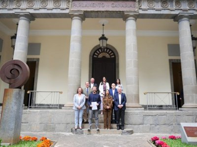 Comienza el trámite de la ley del Sistema Público de Cultura de Canarias