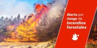 El Hierro, La Gomera, La Palma, Tenerife y Gran Canaria pasan a alerta por riesgo de incendios forestales