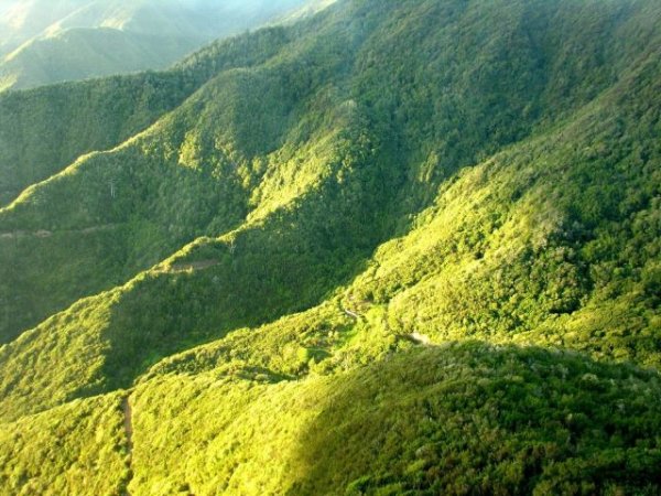 Transici&oacute;n Ecol&oacute;gica avanza la revisi&oacute;n del PRUG del Parque Nacional de Garajonay