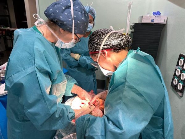 El Hospital Doctor Negrín supera los veinticinco trasplantes de pulmón