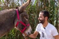 Valleseco: La burra Rosa y sus amigos despiertan la magia en Lanzarote
