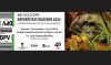 Arucas: El viernes 11 de octubre tendr&aacute; lugar en el Centro Municipal de Cultura la XIII edici&oacute;n del Ciclo &ldquo;Deportistas Viajeros - DPV 2024&rdquo;