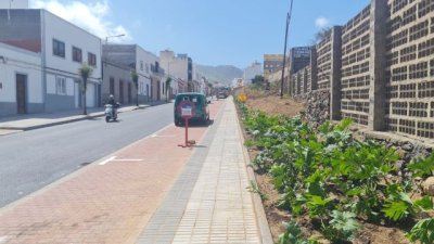 G&aacute;ldar: La Concejal&iacute;a de Parques y Jardines mejora varios espacios del municipio