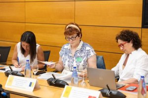 Canarias sigue reclamando al Estado la financiaci&oacute;n de la dependencia acorde al esfuerzo realizado por la comunidad