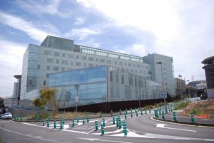 El HUC publica un estudio sobre la respuesta molecular en alérgicos a los ácaros de almacenamiento