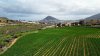 Los productores de la Cebolla tradicional de G&aacute;ldar celebran sus primeras jornadas t&eacute;cnicas para optimizar el cultivo de este producto