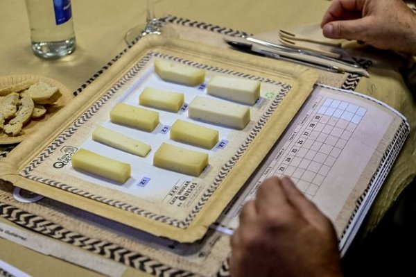 Guía, Gáldar y Moya se alzan con los premios especiales de la XXVI Cata Insular de Quesos ‘Queso Flor de Guía’