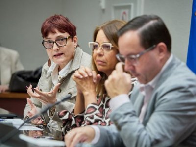 Canarias refuerza el control, la planificación y la ejecución de los fondos del Pacto de Estado contra la Violencia