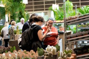 Iberflora Valencia aspira a ser la semilla de una cifra de negocio de 5 millones de euros