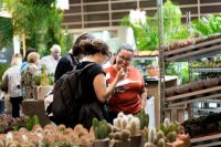 Iberflora Valencia aspira a ser la semilla de una cifra de negocio de 5 millones de euros