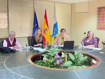 El Consejo Canario de los Mayores plantea nuevos reglamentos para recoger &ldquo;las necesidades actuales&rdquo; del colectivo