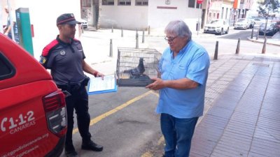 La Polic&iacute;a Canaria inicia una campa&ntilde;a de vigilancia y detecci&oacute;n del tr&aacute;fico ilegal de especies en Gran Canaria