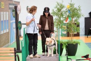 &lsquo;Mucho m&aacute;s que un perro&rsquo;  La ciudadan&iacute;a de Gran Canaria conoce la labor de los perros gu&iacute;a de la ONCE