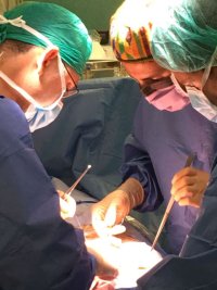 La donaci&oacute;n de tejidos aumenta un 28 por ciento en Canarias