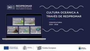 Transición y Educación animan a los centros educativos a inscribirse en el proyecto ‘Cultura oceánica’
