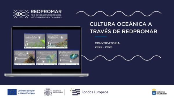 Transici&oacute;n y Educaci&oacute;n animan a los centros educativos a inscribirse en el proyecto &lsquo;Cultura oce&aacute;nica&rsquo;