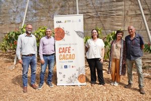 El Gobierno de Canarias analiza el potencial de los cultivos de cacao y caf&eacute; en el archipi&eacute;lago
