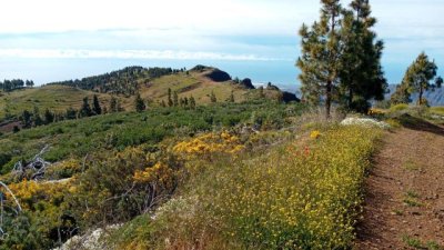 Valleseco descubre la primavera del sur de Gran Canaria con la ruta Pico de La Gorra–Montaña Las Tierras