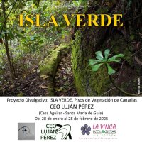 Guía: El CEO. Luján Pérez acoge la Exposición Divulgativa “ISLA VERDE: Pisos de Vegetación de Canarias” hasta finales de febrero