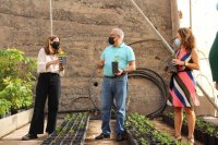 El Cabildo de la Gomera crea el primer semillero de café en la isla