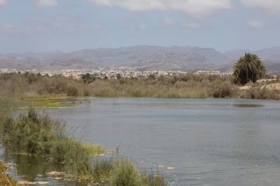 El Cabildo de Gran Canaria y Canaragua participan en el proyecto europeo &lsquo;Natalie&rsquo; sobre resiliencia al cambio clim&aacute;tico