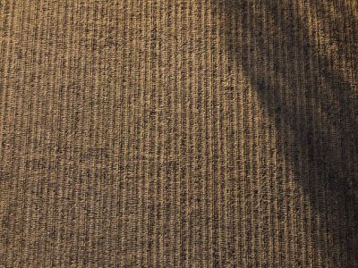 Informe UPA: La sequ&iacute;a causa estragos en el campo espa&ntilde;ol