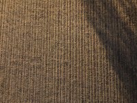 Informe UPA: La sequ&iacute;a causa estragos en el campo espa&ntilde;ol