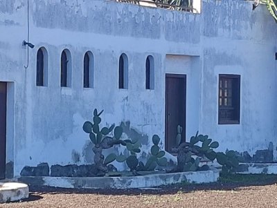 CONTIGO Fuerteventura eval&uacute;a el estado de los centros cerrados de la Red de Museos del Cabildo