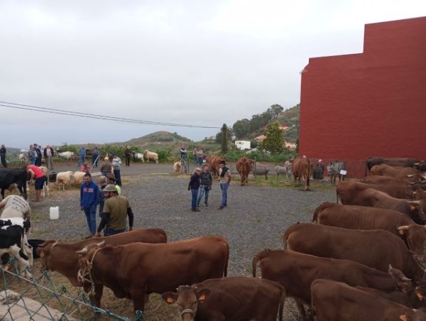 Gu&iacute;a: La Feria de Ganado de Monta&ntilde;a Alta se celebrar&aacute; este s&aacute;bado 28 de marzo