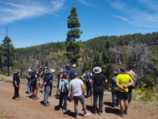Técnicos de La Gomera participan en unas jornadas sobre el uso del pastoreo para prevenir incendios