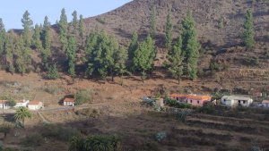 La Gomera: El Cabildo ejecuta trabajos de refuerzo contra incendios en n&uacute;cleos poblacionales de las median&iacute;as