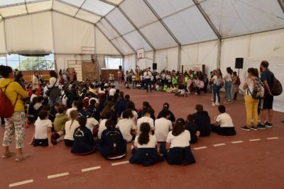 Cerca de 300 alumnos abren las actividades de la Feria del Queso de G&aacute;ldar conociendo las tradiciones ganaderas
