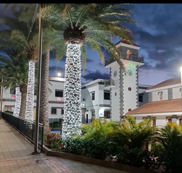 Gáldar: La Asociación de Vecinos Amagro de Barrial inaugura este domingo día 3 de diciembre, la Navidad en Barrial