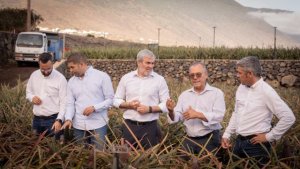 Clavijo reafirma el compromiso del Gobierno de Canarias con la recuperaci&oacute;n de la pi&ntilde;a tropical de El Hierro