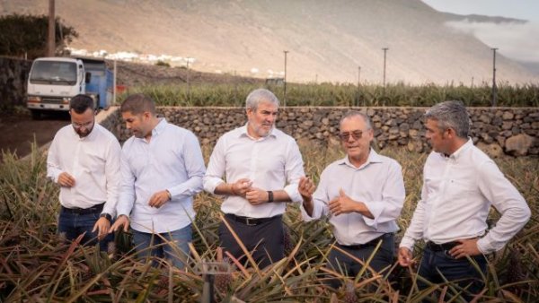 Clavijo reafirma el compromiso del Gobierno de Canarias con la recuperaci&oacute;n de la pi&ntilde;a tropical de El Hierro