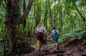 La Gomera acuerda postularse para albergar la sede de la Agencia Europea del Turismo