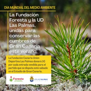 La Fundación Foresta y la Unión Deportiva Las Palmas aúnan esfuerzos para mantener las repoblaciones de la cumbre grancanaria