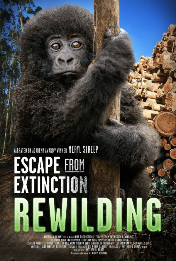 Escapar de la Extinción Rewilding llega a los cines de Tenerife y Gran Canaria
