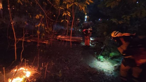 Actualizaci&oacute;n de la situaci&oacute;n del incendio forestal de Tenerife