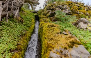 Turismo Valleseco cierra la temporada de senderismo con la &ldquo;Ruta del Agua&rdquo;
