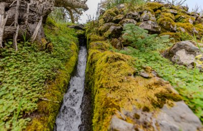Turismo Valleseco cierra la temporada de senderismo con la &ldquo;Ruta del Agua&rdquo;