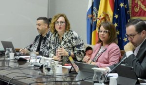 Bienestar Social invertirá este año 2 millones de euros en fomentar la empleabilidad de jóvenes con cualificación