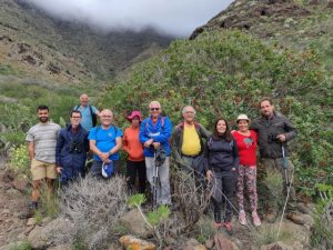 Un grupo de personas participa en la ruta natural&iacute;stica de Artej&eacute;vez y contempla el mayor almacigar de Canarias